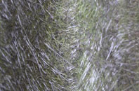 Hartshead Pike fibreglass roof work